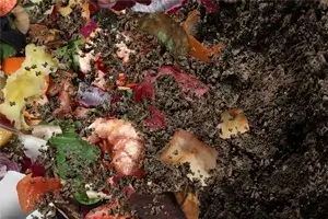 Multipurpose Municipal Waste Shredders